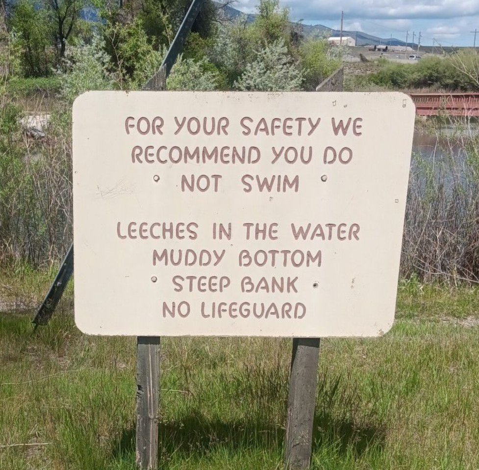 no swimming.jfif
